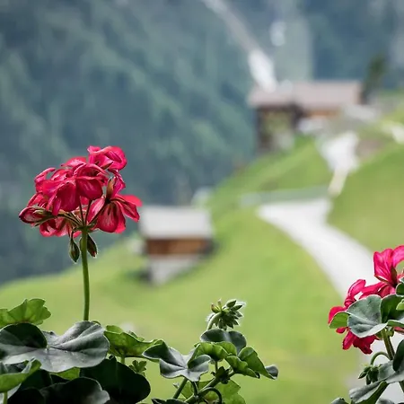 Διαμέρισμα Apartmenthaus Gutwenger *