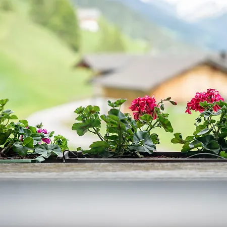 Apartmenthaus Gutwenger Διαμέρισμα Innervillgraten