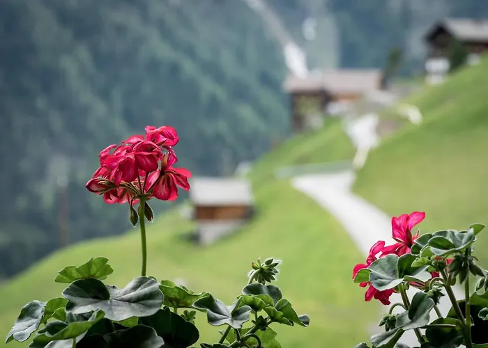 Lejlighed Apartmenthaus Gutwenger *