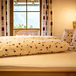 Apartmenthaus Gutwenger אינרבילגרטן